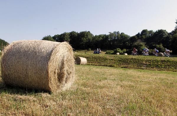 The Tour peloton rolls through farmland on stage 10.