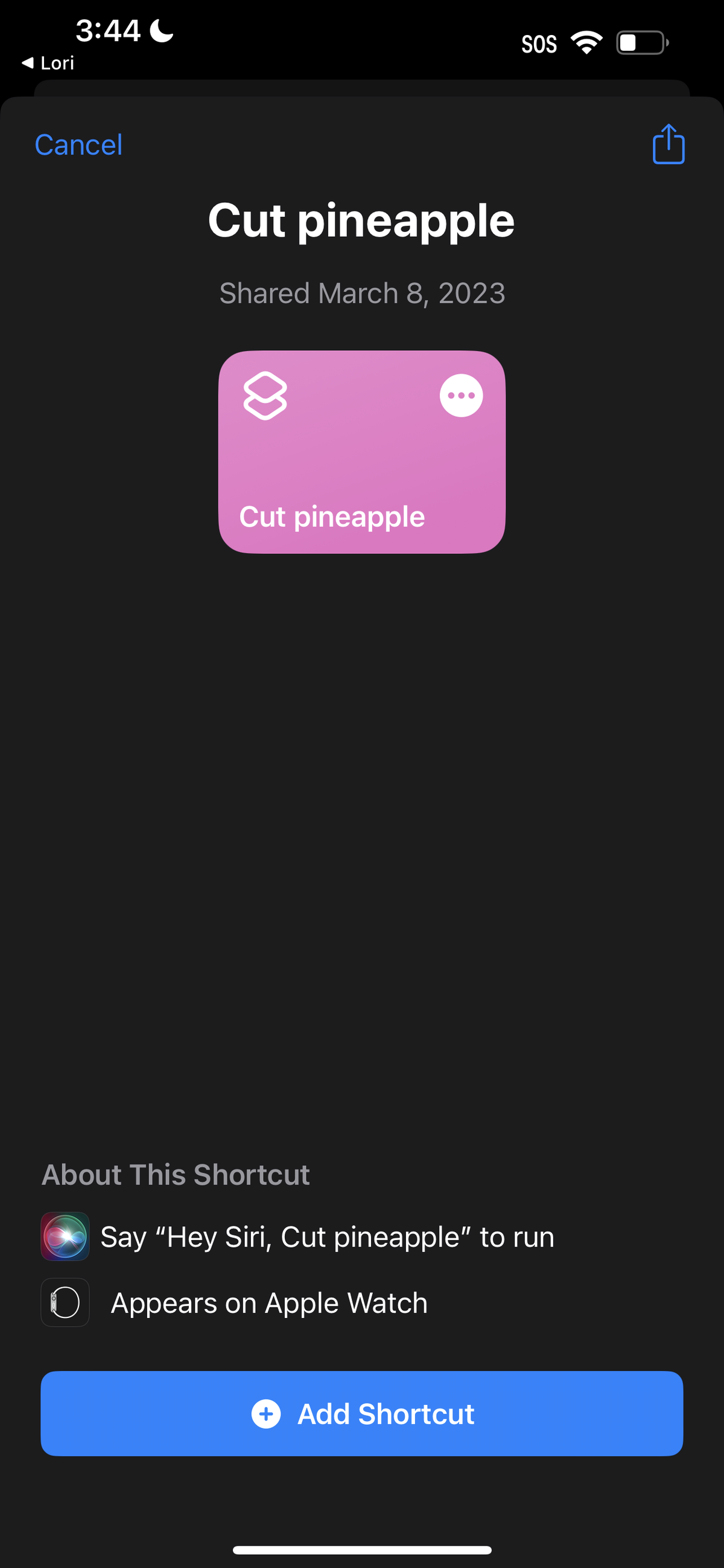 Replace Siri with ChatGPT