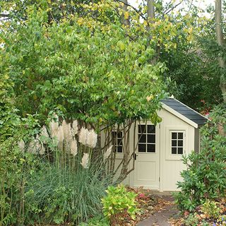 garden area with shed with cream colour wall