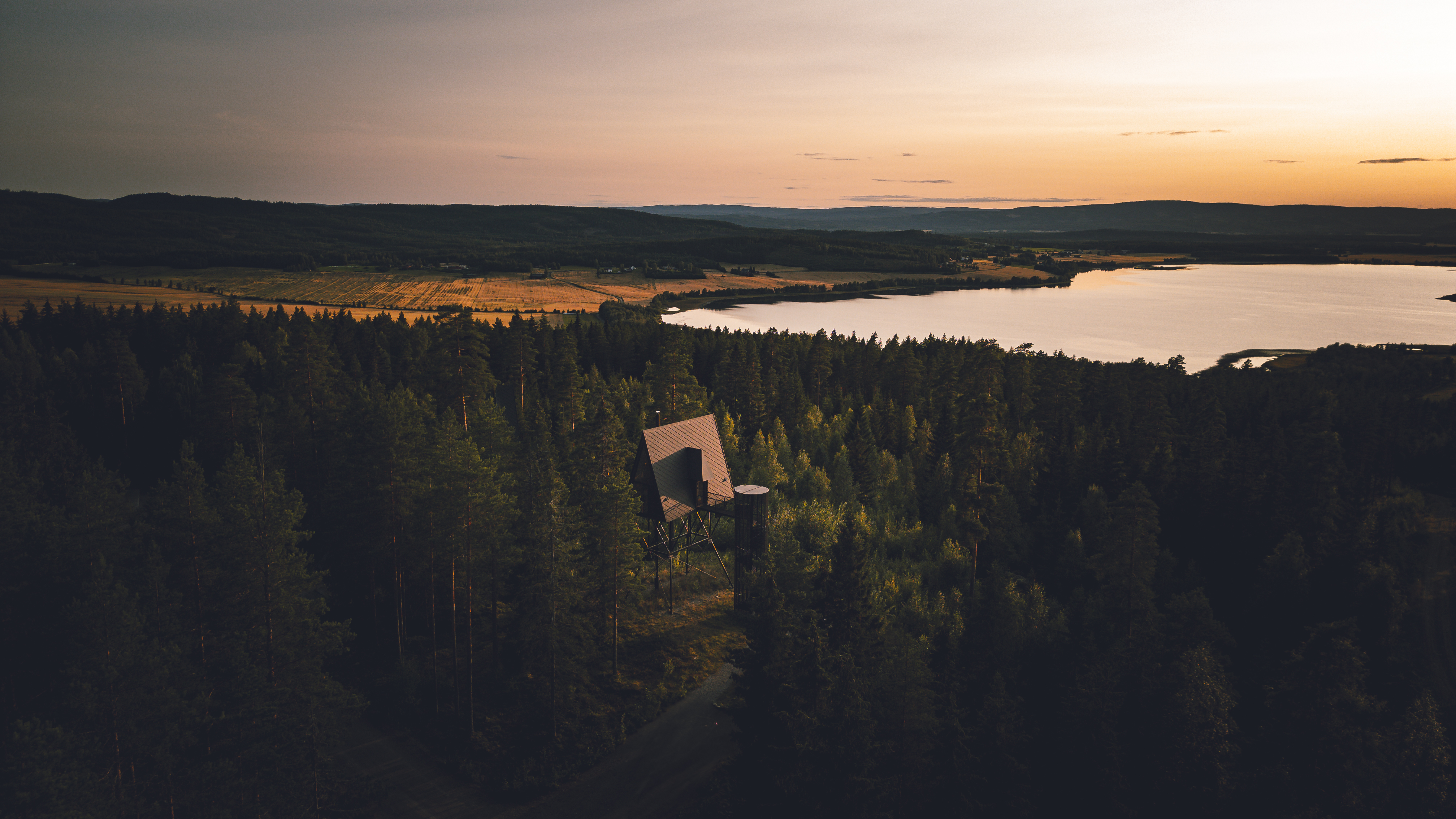 A forest captured at golden hour conceals a triangular cabin nestled in the woods.