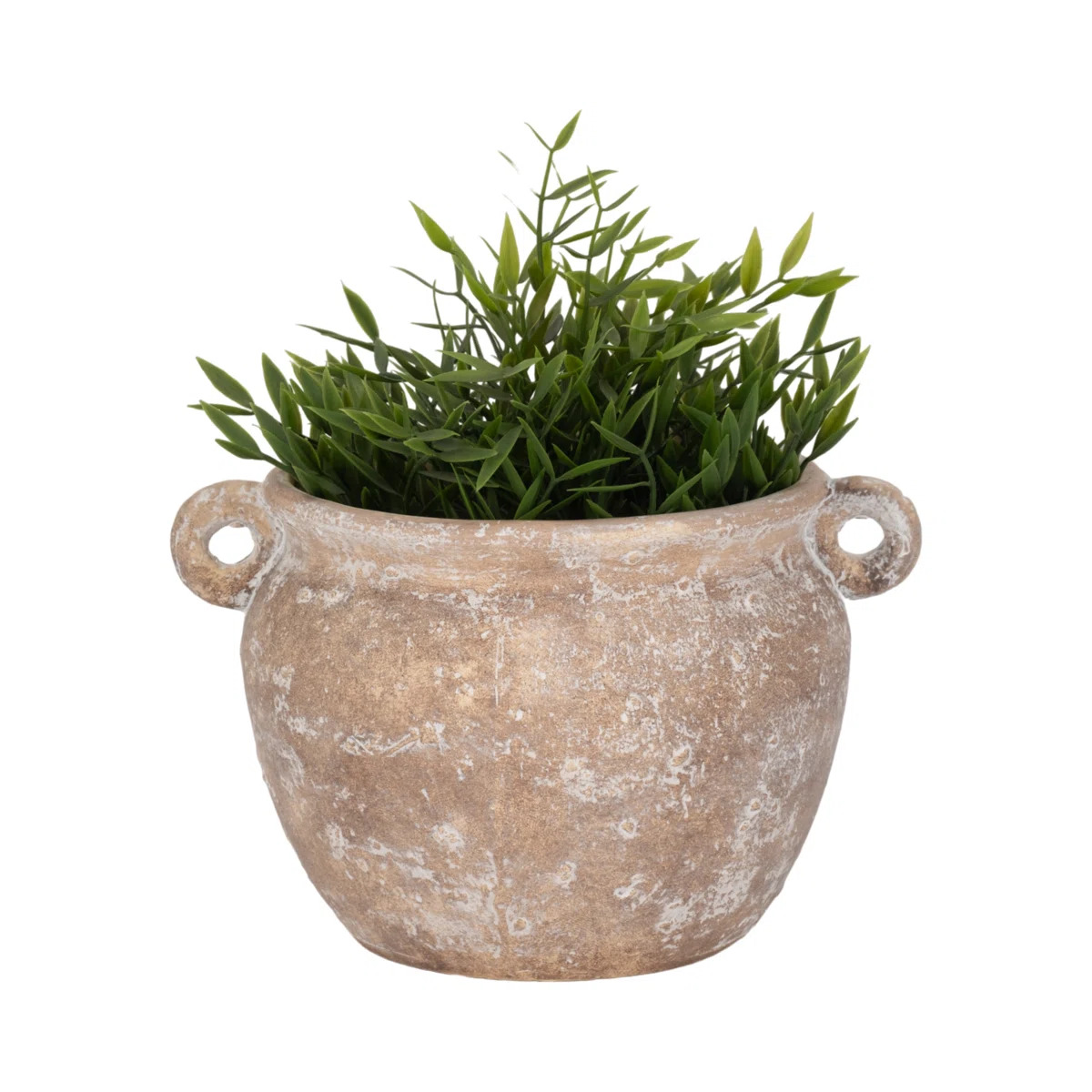 Wayfair textured ceramic planter