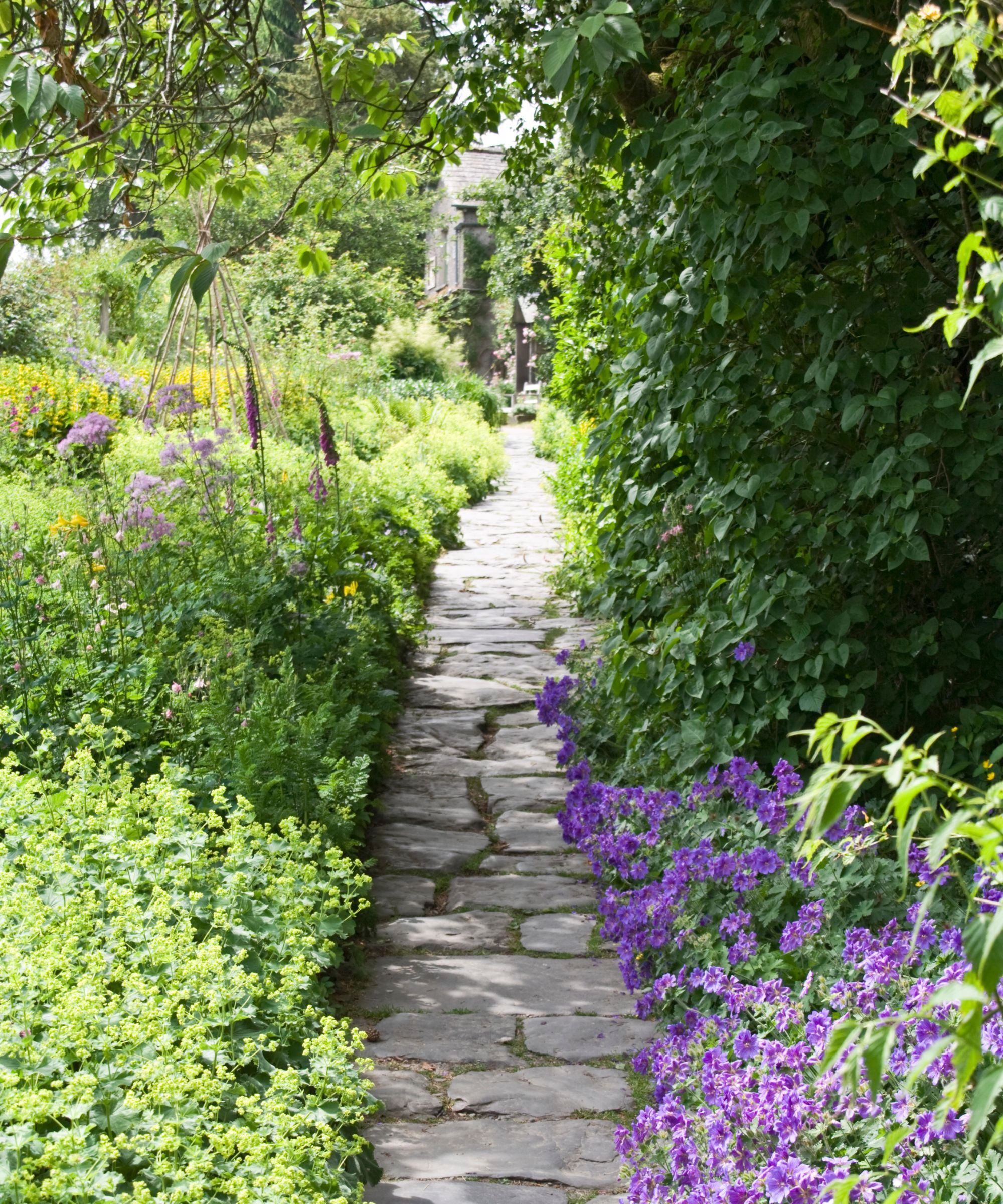 Crazy paving pathway through a cottage garden