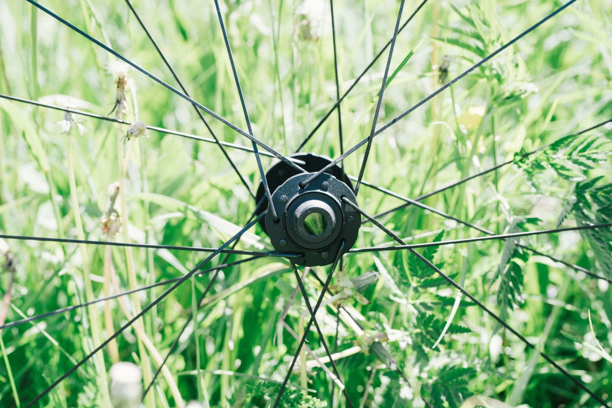 A zipp wheel in an alpine meadow
