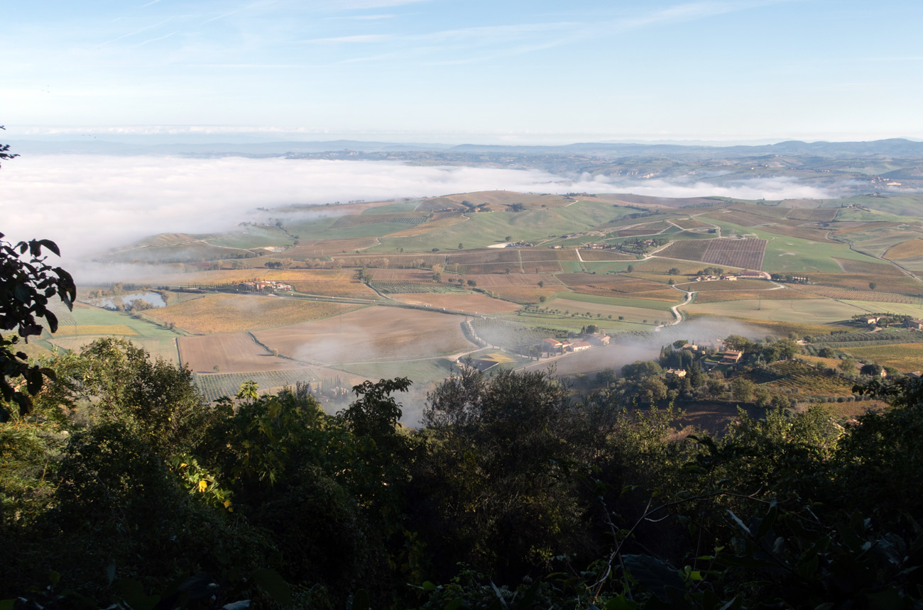 Brunello di Montalcino 2018