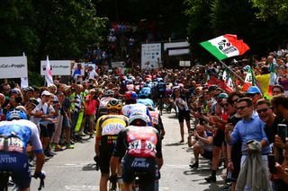TREVISO ITALY MAY 26 A general view of the peloton beginning to climb the Muro di Ca del Poggio 237m while fans cheer during the 105th Giro dItalia 2022 Stage 18 a 156km stage from Borgo Valsugana to Treviso Giro WorldTour on May 26 2022 in Treviso Italy Photo by Tim de WaeleGetty Images