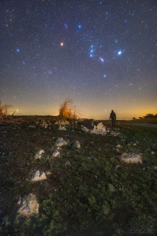 A lonely stargazer looks up at the constellation of Orion, the hunter — and its dimming star Betelgeuse — in this photo captured from Portugal's Dark Sky Alqueva Reserve.