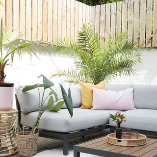 corner of garden with outdoor sofa, coffee table, plants, white painted wall, wooden fence above to add height and privacy