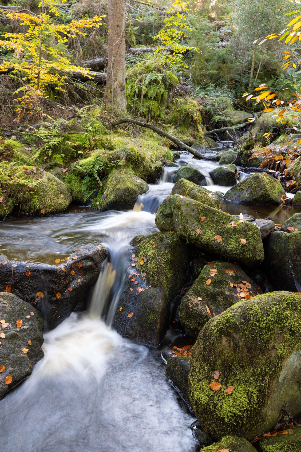 Tiffen Variable ND MCS filter product shot
