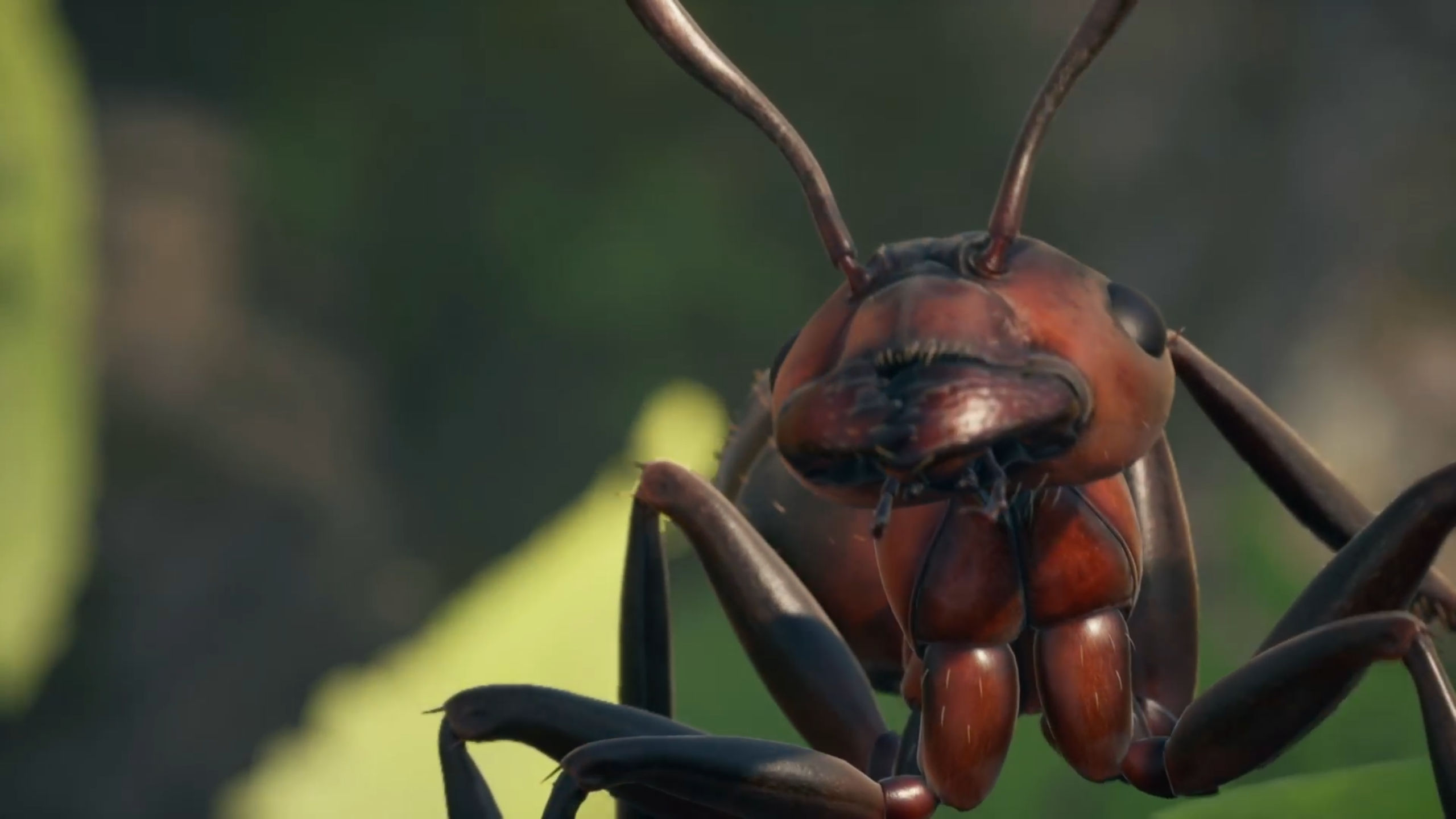 Empire of the Ants on Xbox Series X is one of the 2024's most visually striking game, and it's all about buggy gameplay.