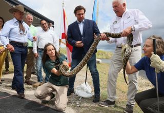 Florida governor Ron DeSantis holding a burmese python with other wildlife officials