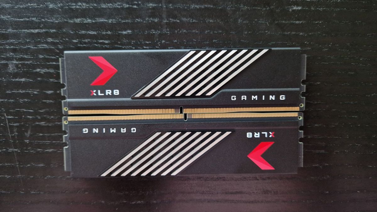 PNY XLR8 DDR5 RAM review image showing both RAM modules lying parallel