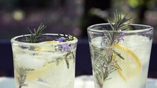 Gin fizz drinks with rosemary sprigs and lemon slices in the glasses