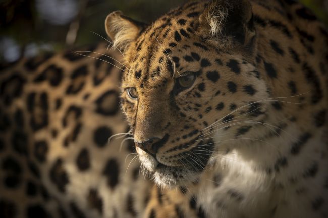 215 of the best photography tips | Digital Camera World
