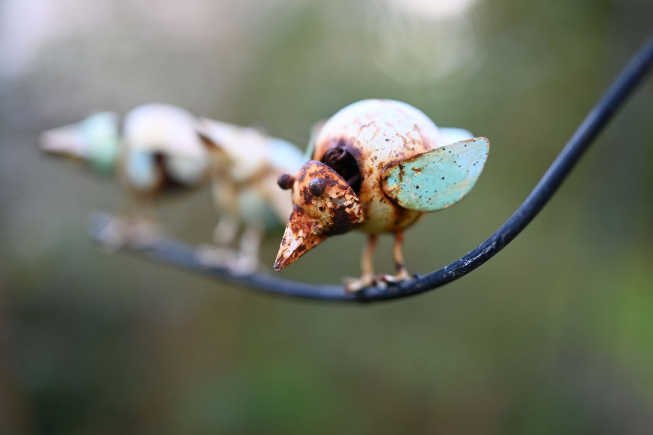 Nikon Z 50mm f/1.2 S