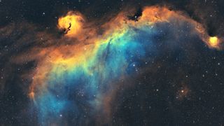 seagull nebula appears as an orange, brown, blue and green bird with wings spread out across a background of stars.