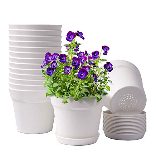 Homenote Pots for Plants, 15 Pack 6 Inch Plastic Planters With Multiple Drainage Holes and Trays,plant Pots for All Home Garden Flowers Succulents (white)