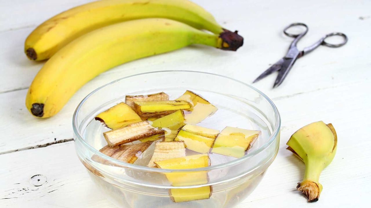 making banana water for plants