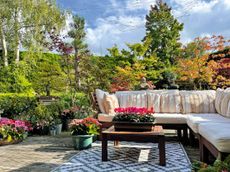 You can never have too many garden seats: they are important for pondering the next foray into beds and borders—or for a snooze.