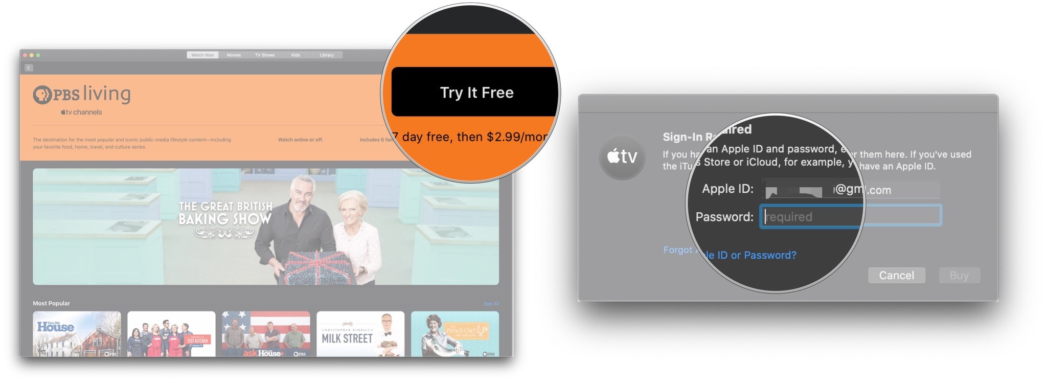 Click Try It Free, enter password
