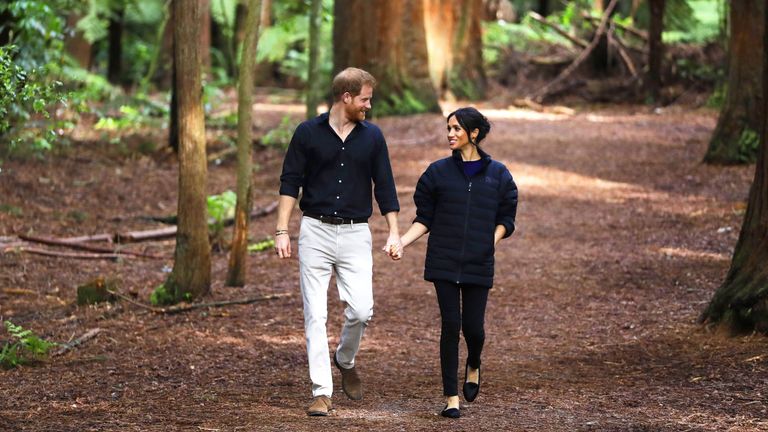 Prince Harry Went Into Therapy After a Fight With Meghan Markle
