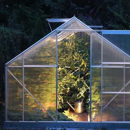 A greenhouse lit up at night