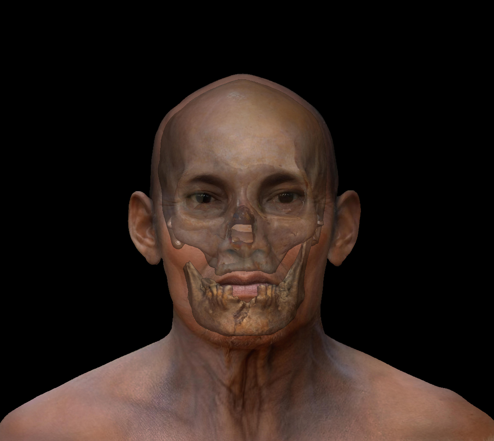 Punin 2 skull superimposed on the reconstructed face