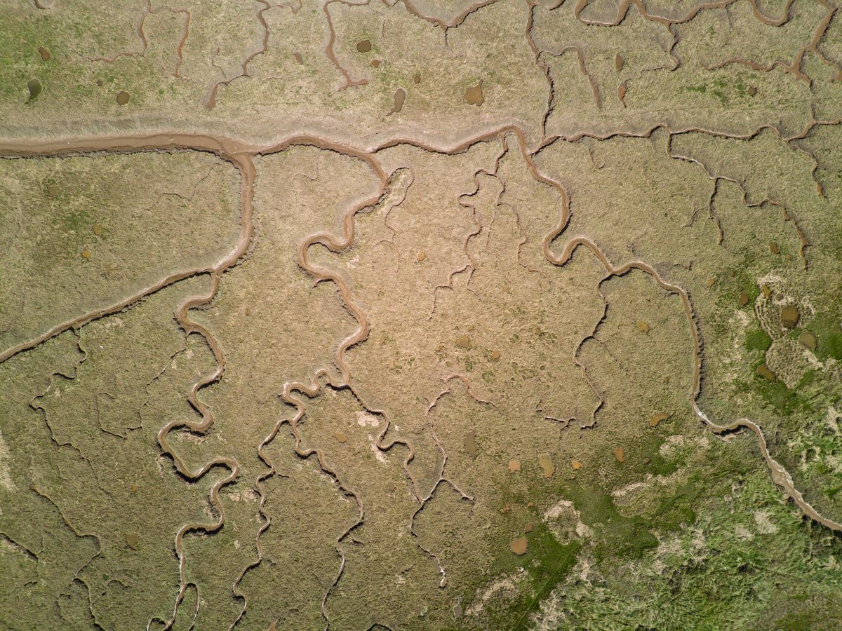 An aerial view of some mud flats