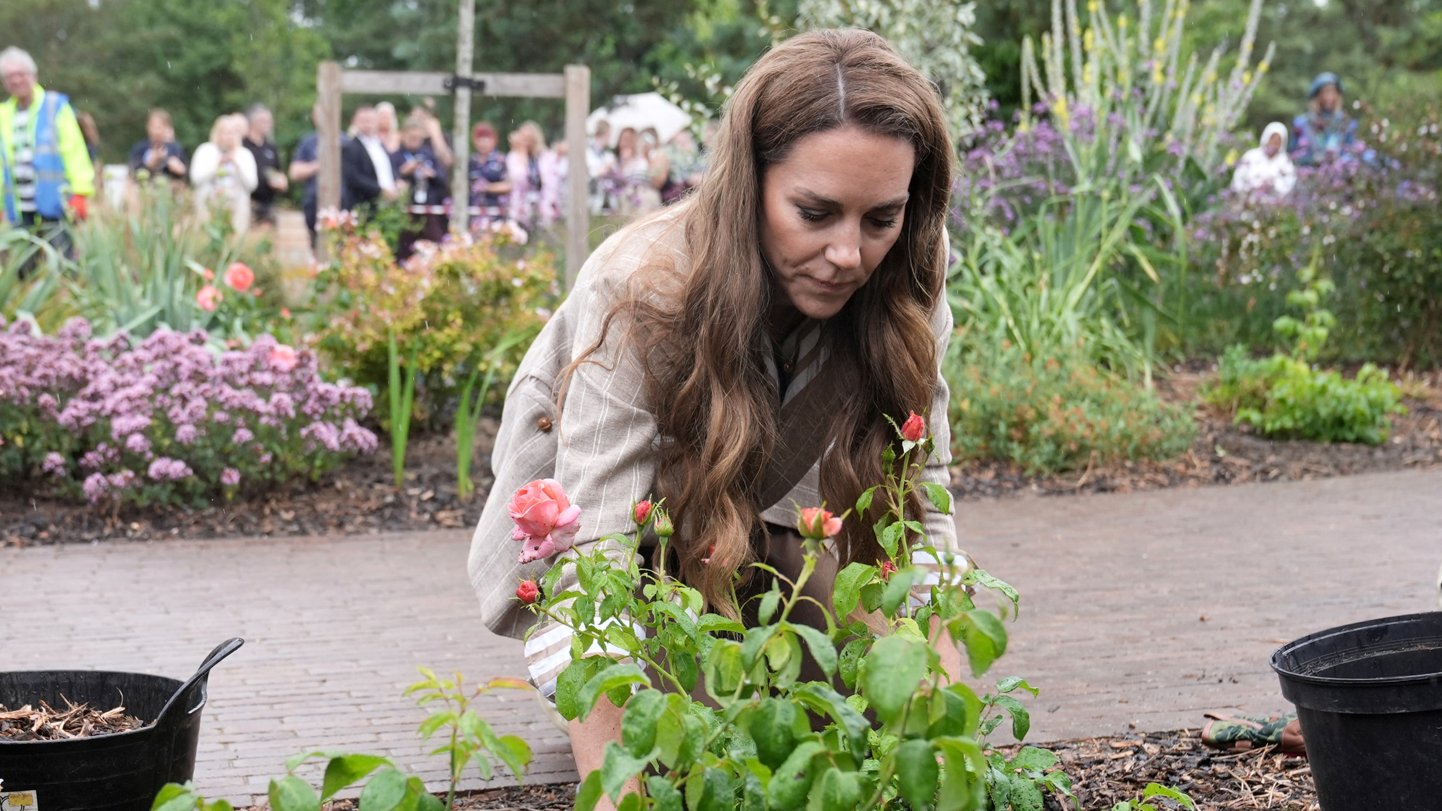Catherine, Princess of Wales plants a rose in RHS Wellbeing Garden at Colchester Hospital in Essex, southeast England on July 2, 2025