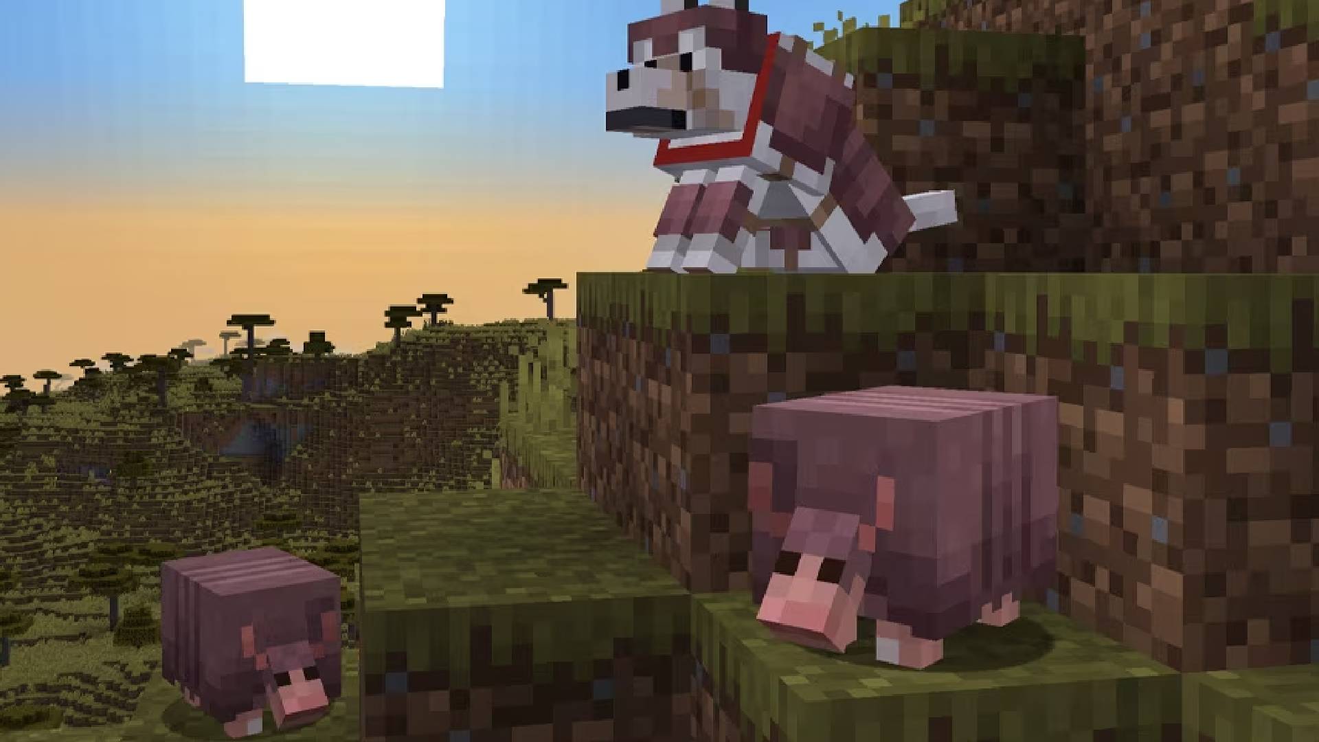 Des tatous sur une colline et un loup en armure devant un coucher de soleil dans Minecraft