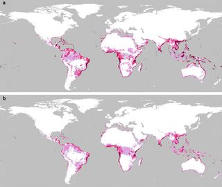 Map of potential big-headed ant habitat