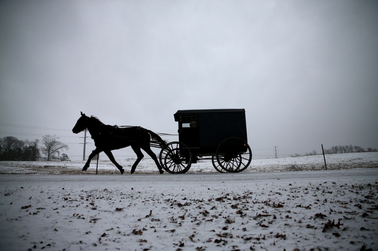 Horse-drawn buggy hits Honda, flees scene