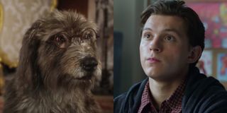 Jip, a dog, left, is voiced by Tom Holland, right, in Dolittle