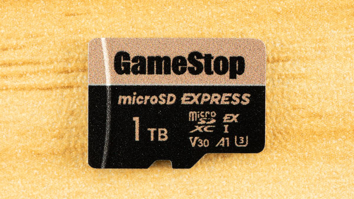 GameStop 1TB Express Micro SD Card