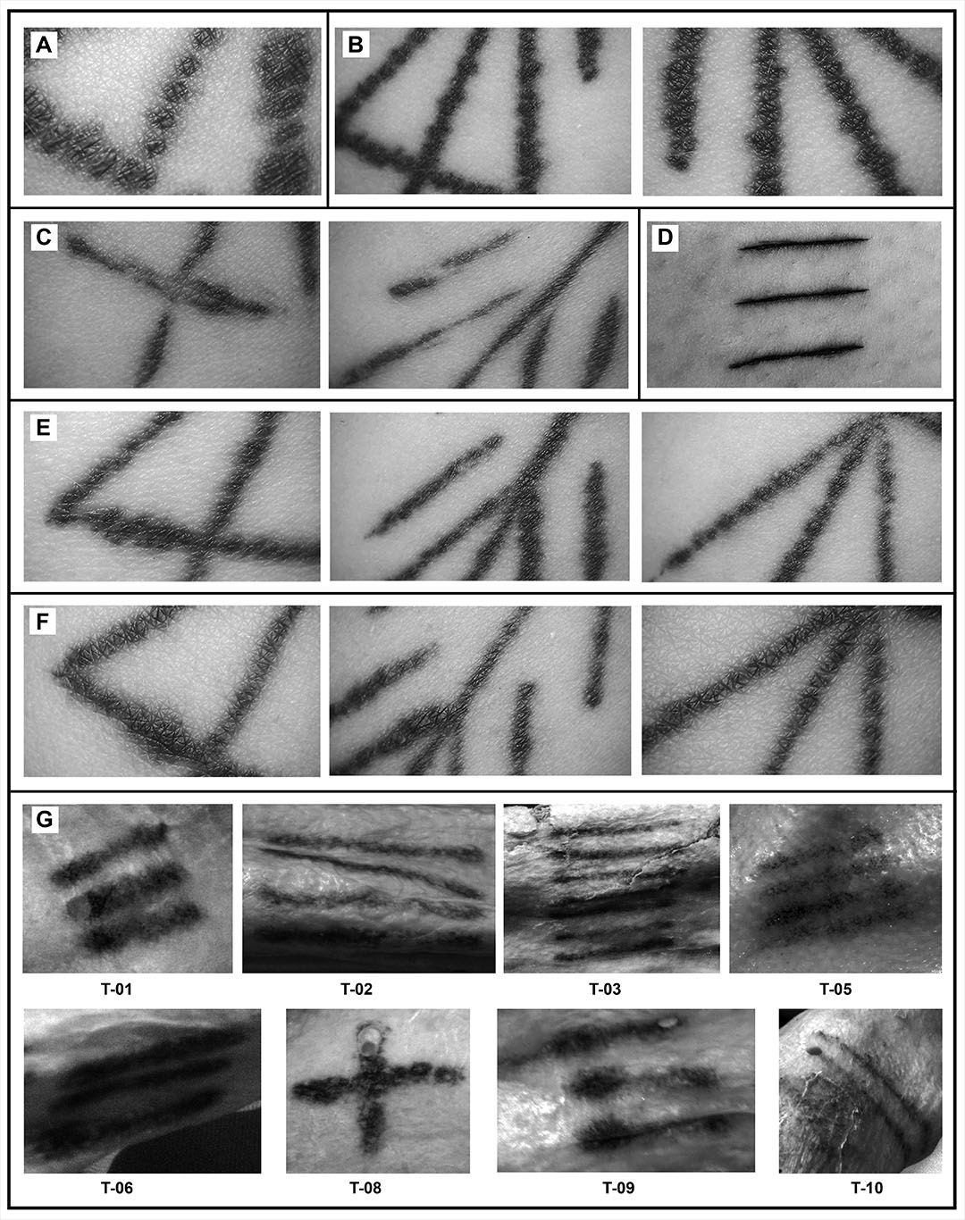 A comparison of the modern tattoos (A to F) and &Ouml;tzi's tattoos (G) indicated that the Iceman's were made with the "hand-poking" tattooing technique.