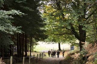 Clay pigeon shooting at Hownhall