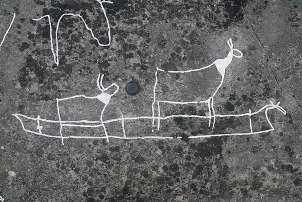 A rock art drawing of two deer in a boat.