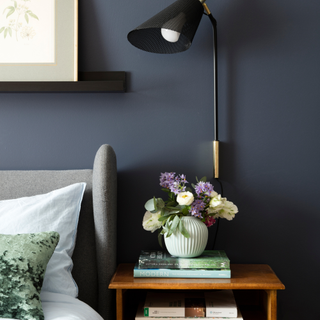 Navy walls with black lamp and shelving