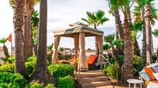 Best canopy
