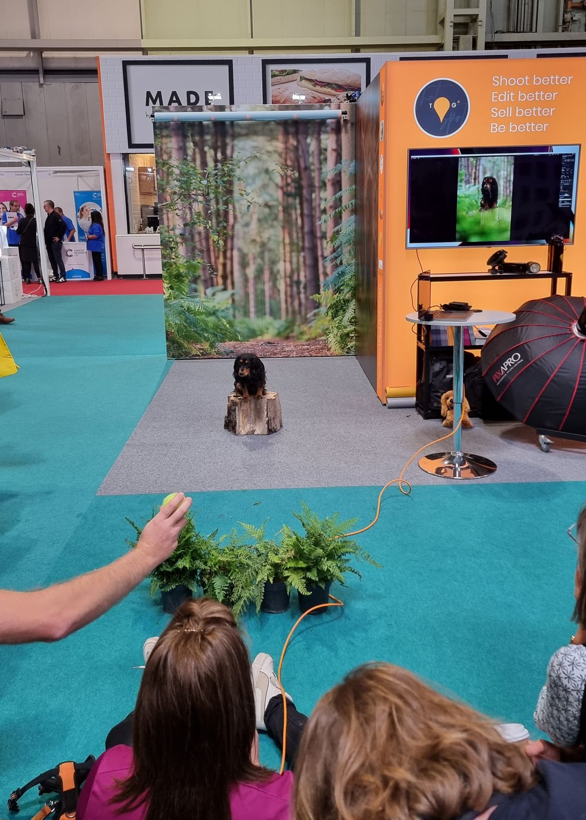 Dogs that stole our hearts at The Photography Show 2022