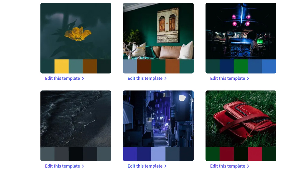 Colour combinations suggested by Adobe Express