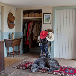 stone flagstone hallway and flooring and dog and cloths