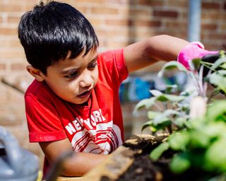 young child planting a container in the garden