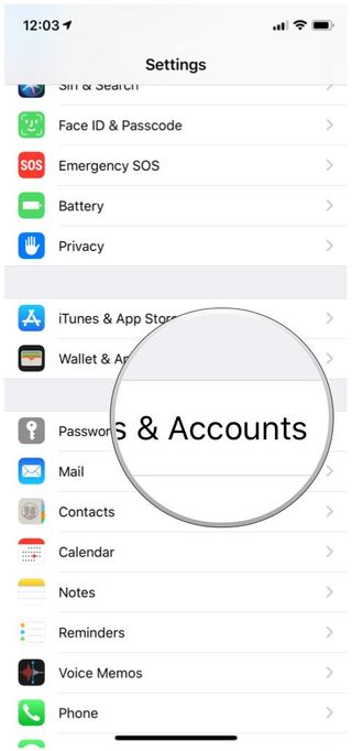 iOS Settings passwords and accounts