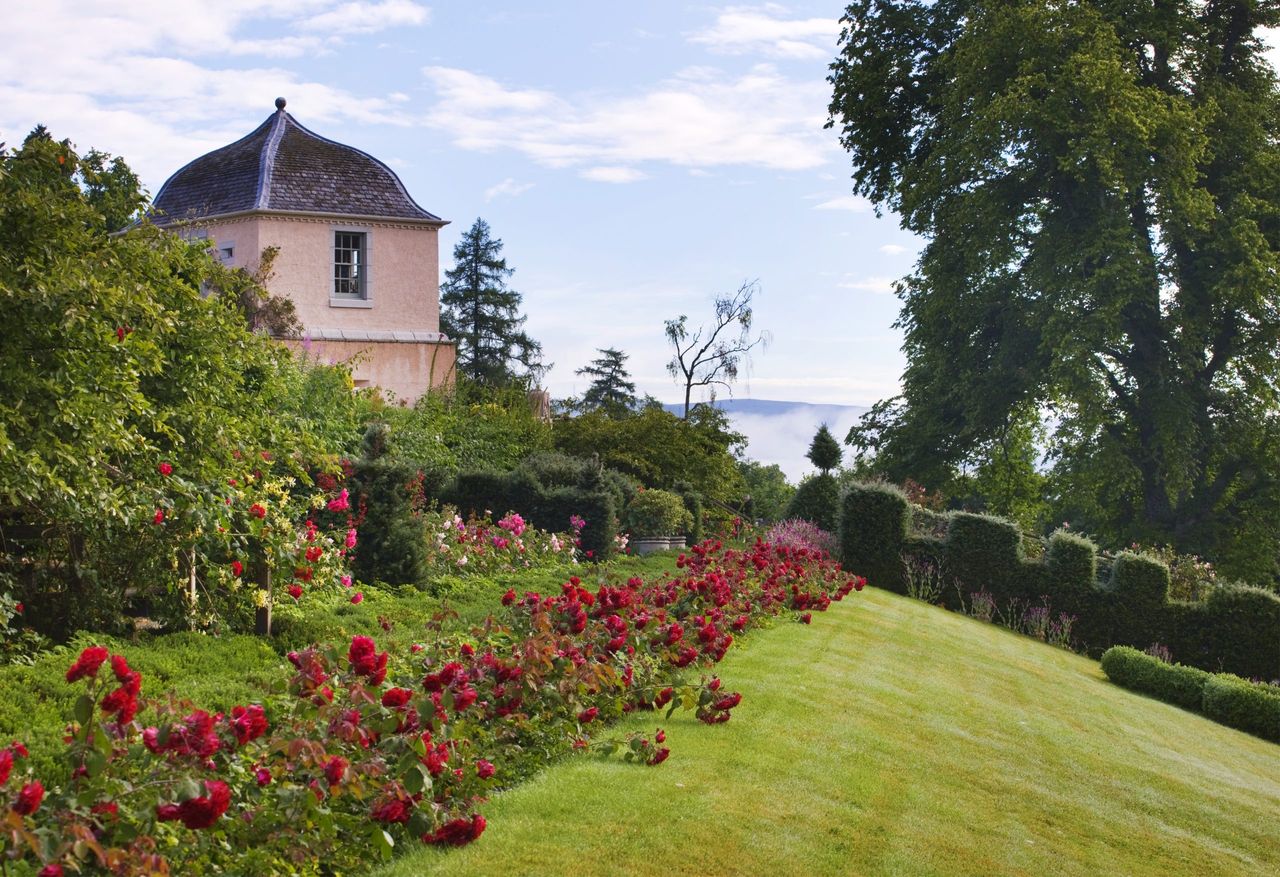 The garden of Birkhall, the Scottish home of The Prince of Wales on the Balmoral estate in Aberdeenshire. The sloping lawn is fronted by borders filled with red roses, such as Europeana and Le Mans. Credit: Clive Nichols/Country Life Picture Library