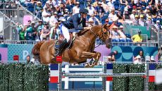 Henrik von Eckermann and King Edward in the Paris Olympic showjumping