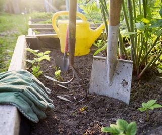 Garden tools and equipment in a raised bed containing vegetable and herbs