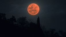 The moon turns red during a lunar eclipse, such as this one seen in Thailand one Jan. 31 2018.