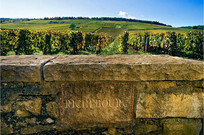 Domaine de la Roman&eacute;e-Conti