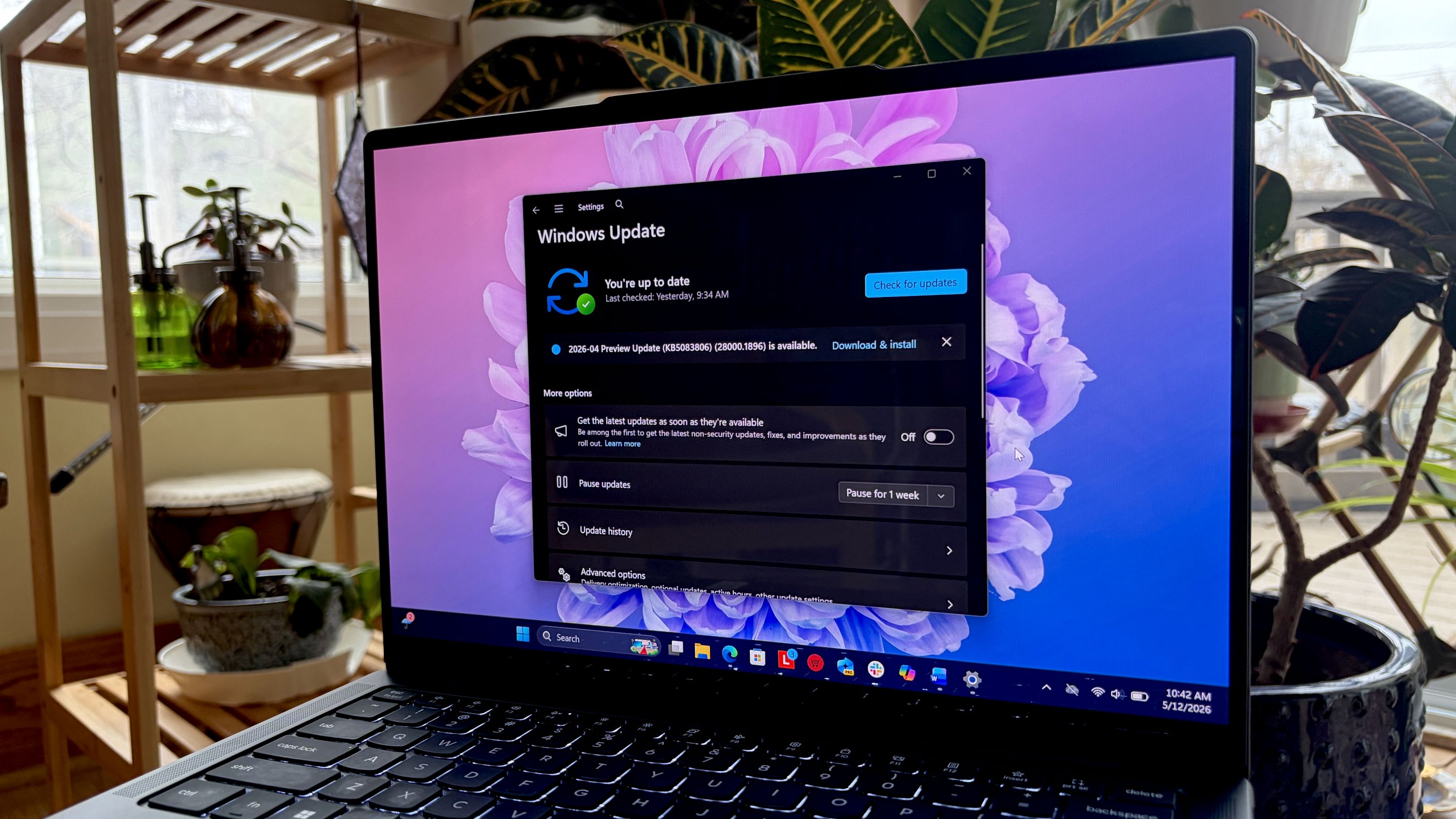 A laptop screen displays a Windows Update notification against a flower-themed wallpaper. Indoor plants are visible on a wooden stand nearby.