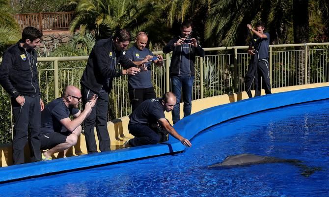 The riders reach out a dolphin